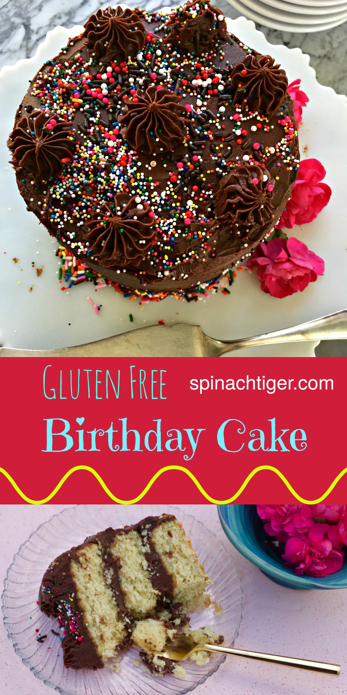 Gluten Free Yellow Cake Birthday Cake with Chocolate Frosting from Spinach TIger