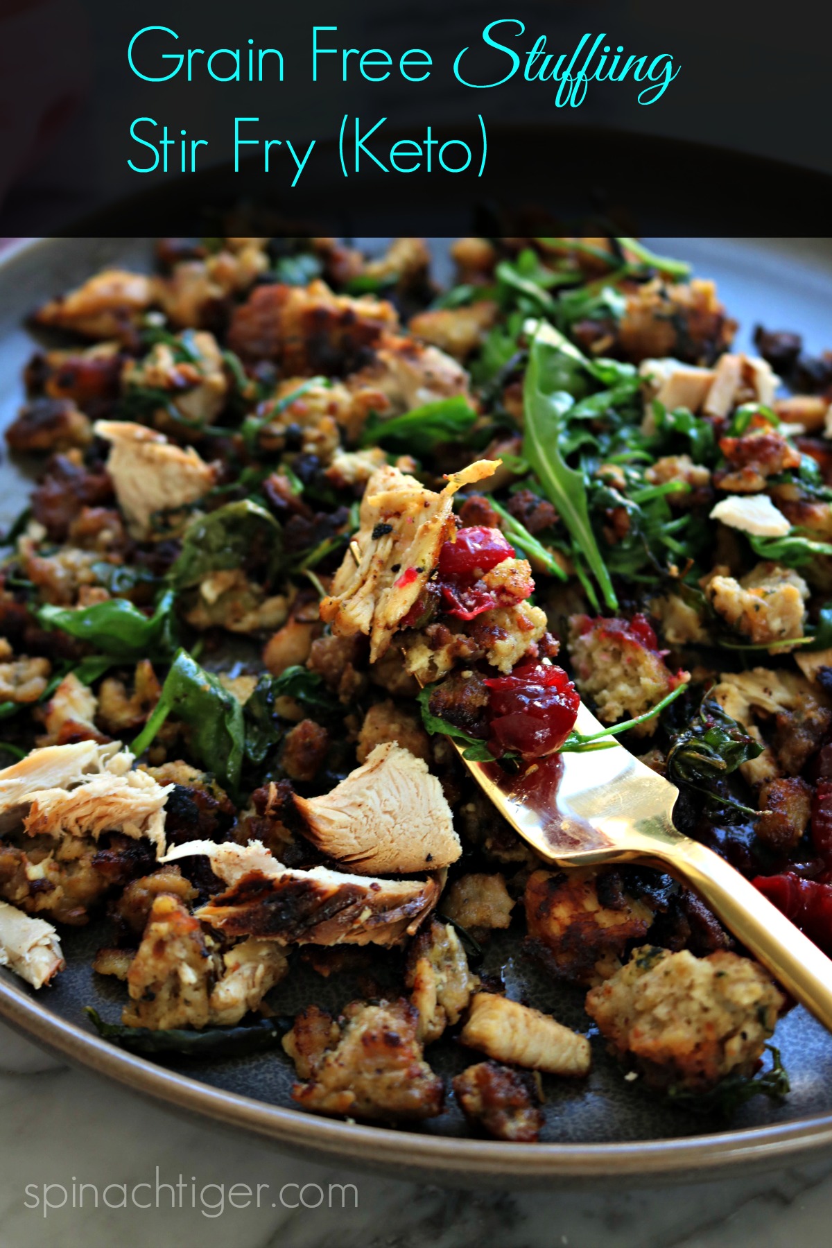 Grain Free stuffing with sugar free cranberry sauce from Spinach Tiger