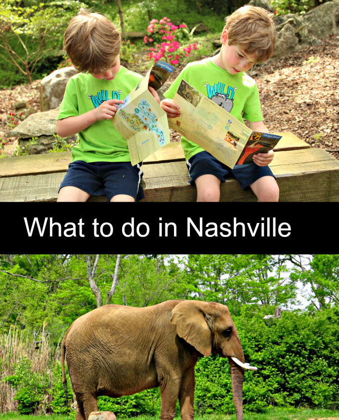 Nashville Zoo: Where to go, What to do in Nashville for Family Fun from Spinach Tiger