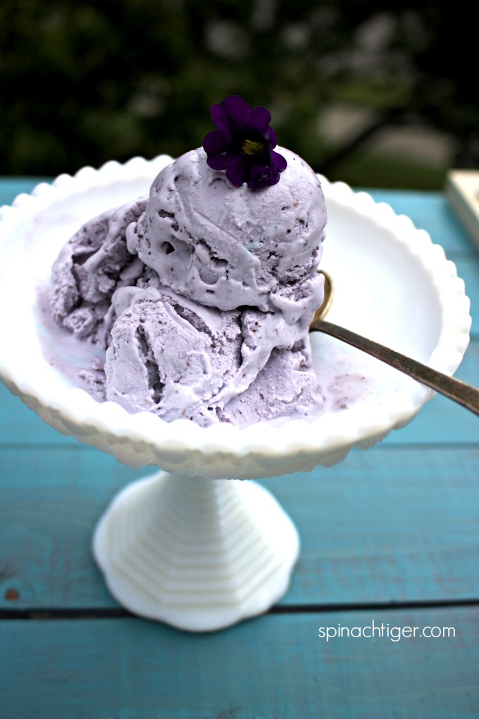 Homemade Lavender Blueberry Ice Cream Recipe from Spinach Tige