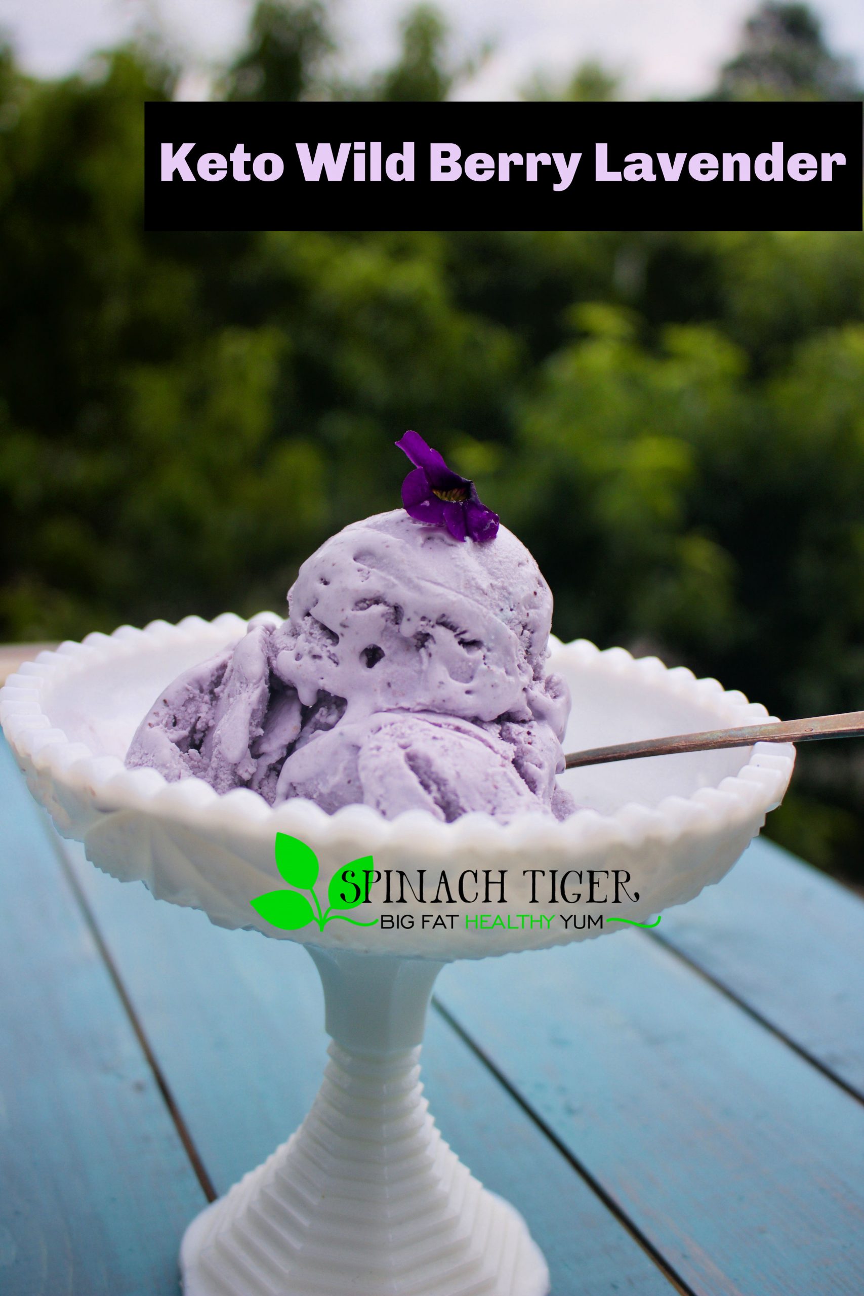 Make Jenny's Wild Berry Lavender recipe SUGAR FREE, GRAIN FREE, KETO Friendly. I used Blueberries, Lavender essential oil, and Swerve to make this creamy dreamy ice cream come true. #ketoicecream #spinachtiger via @angelaroberts