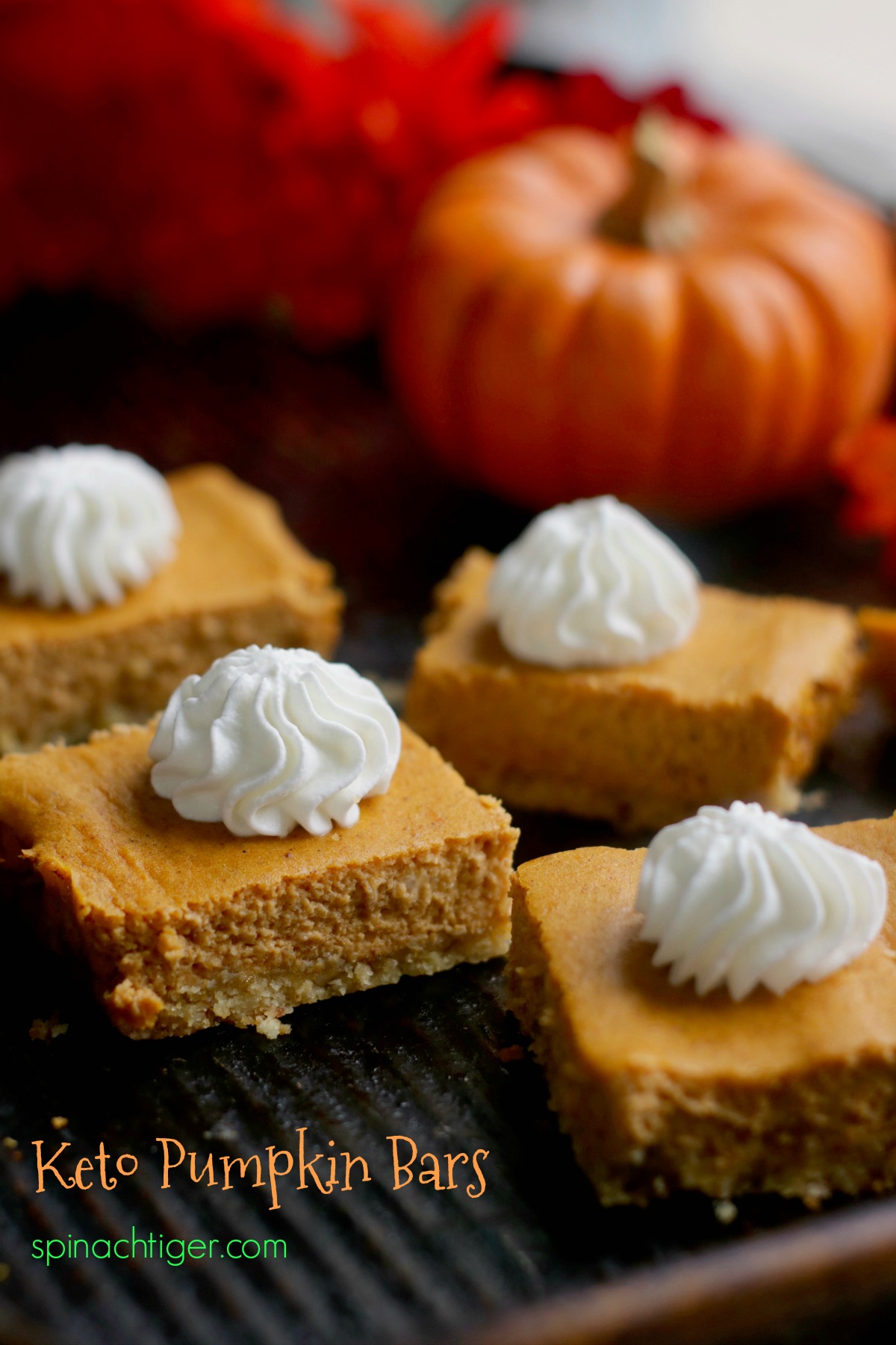 Pumpkin Cheesecake Bars 