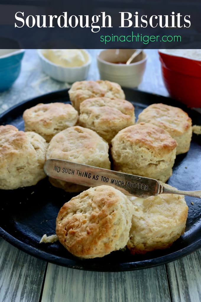 Easy Sourdough Biscuits with Sourdough Starter - Spinach Tiger