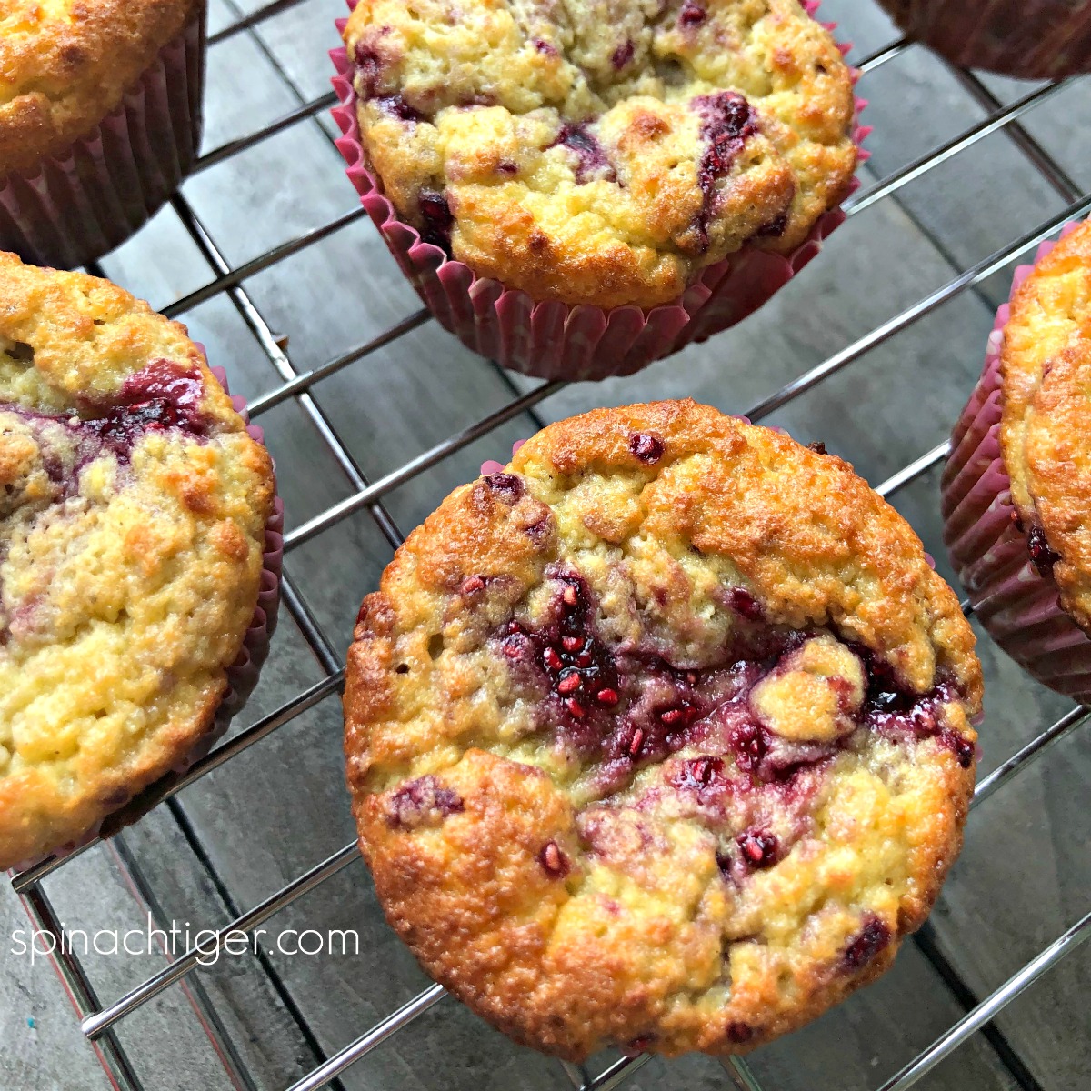 Keto Raspberry Muffins (Almond Flour)