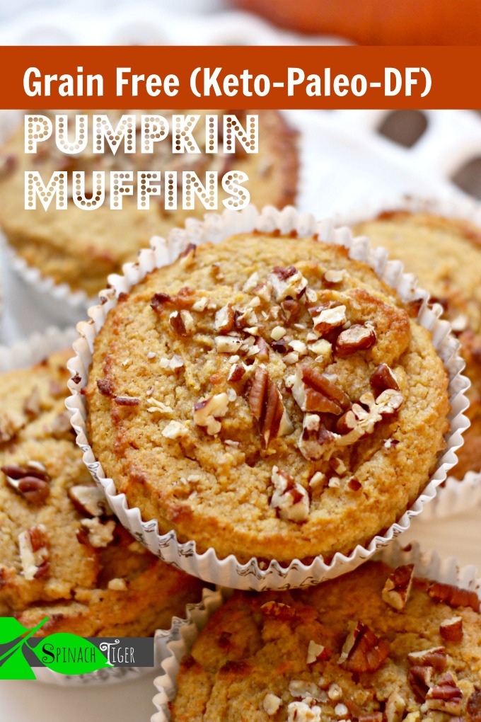 Grain Free Pumpkin Muffins (Keto and Paleo and Dairy Free)