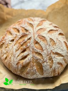 Sourdough Bread Baked