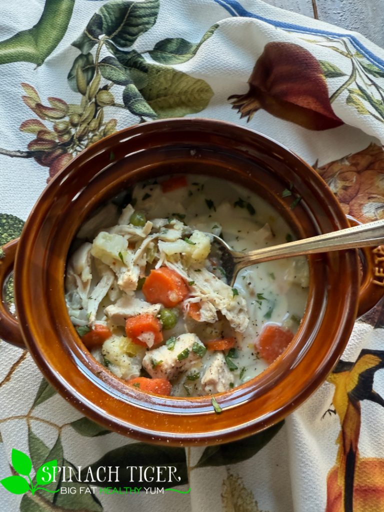 Chicken Vegetable Soup