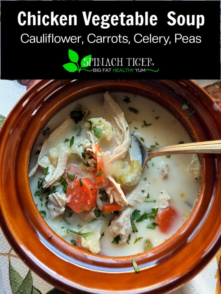 Chicken Vegetable Soup